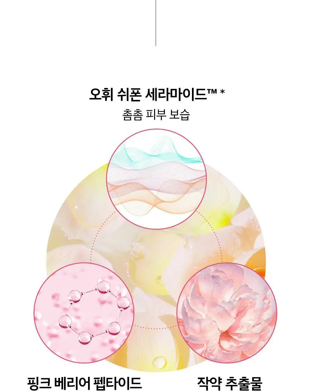 [보습선물세트] 오휘 미라클 모이스처 핑크베리어 2종 SET 상세페이지 11